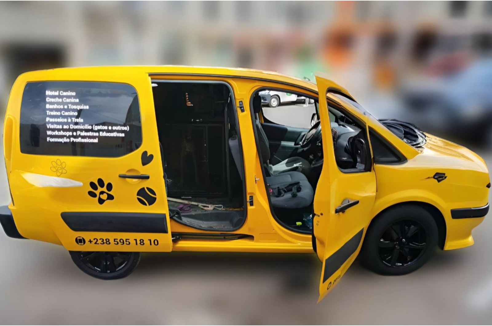 Serviço de transporte dogz united